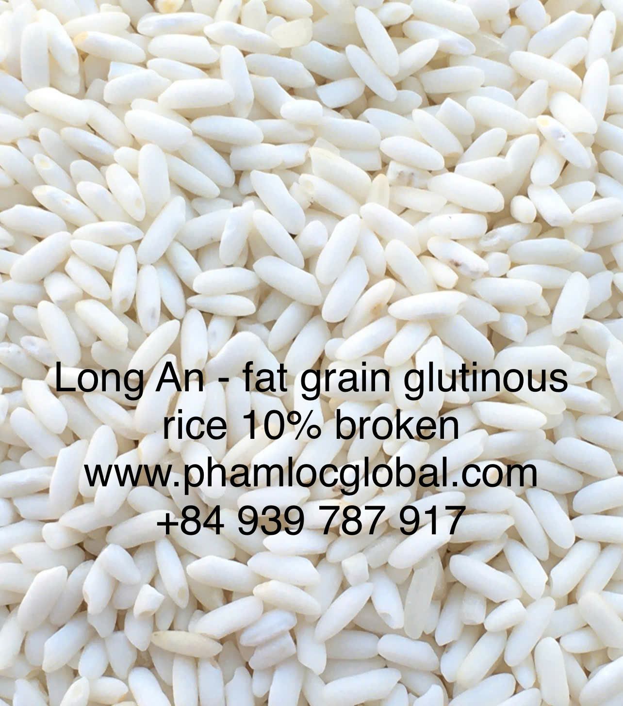 Long An Glutinous
