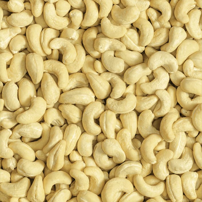 Cashew