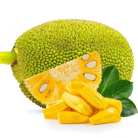 JACK FRUIT