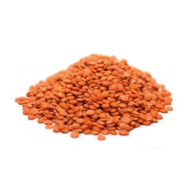 LENTILS