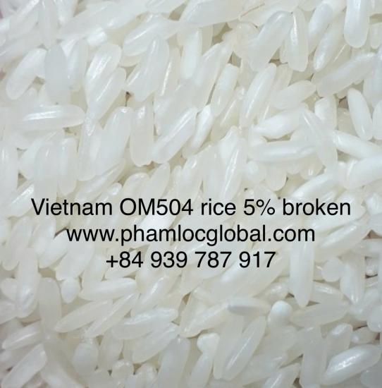 Long grain white rice IR504, 5% broken