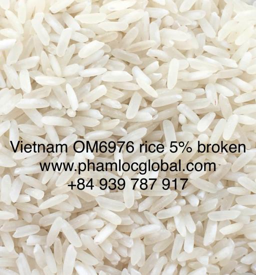 Vietnam Long grain white rice 6976