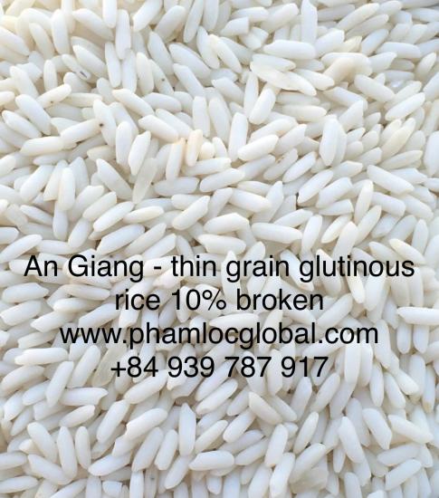 An Giang Glutinous Rice, 10% broken