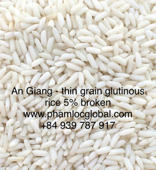 An Giang Glutinous Rice, 5% broken