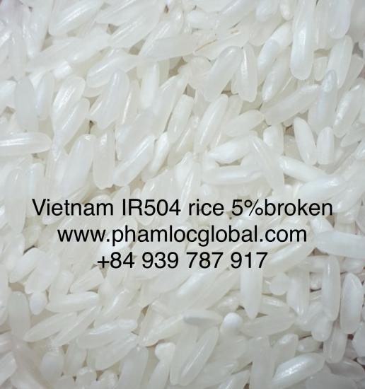 Vietnam Long grain white rice IR504, 5% broken