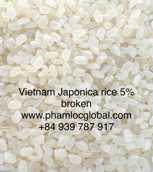 Vietnam Round grain white rice Japonica 5% broken