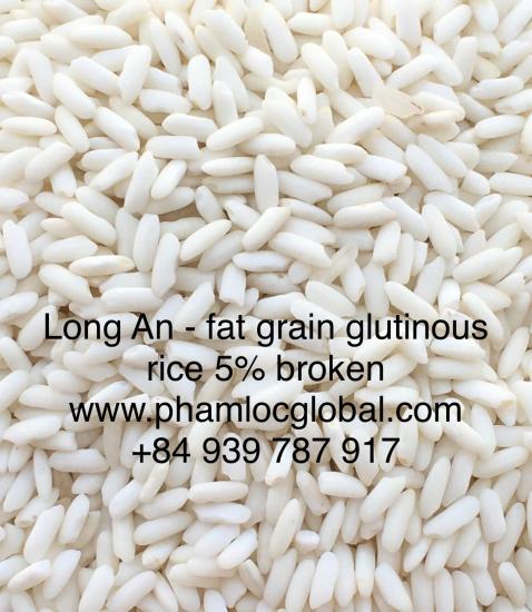 Long An Glutinous Rice, 5% broken