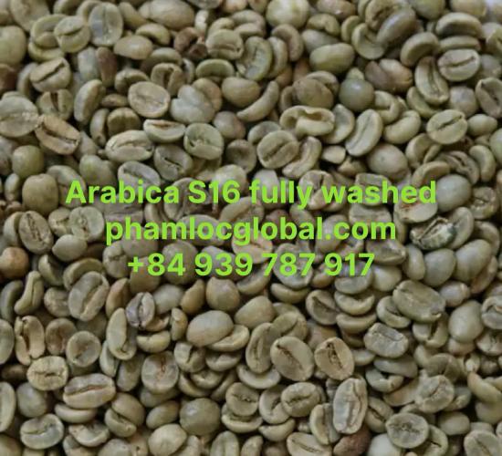 ARABICA COFFEE SCREEN 16 FULL WASHED