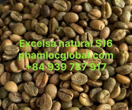 EXCELSA COFFEE SCREEN 16 NATURAL