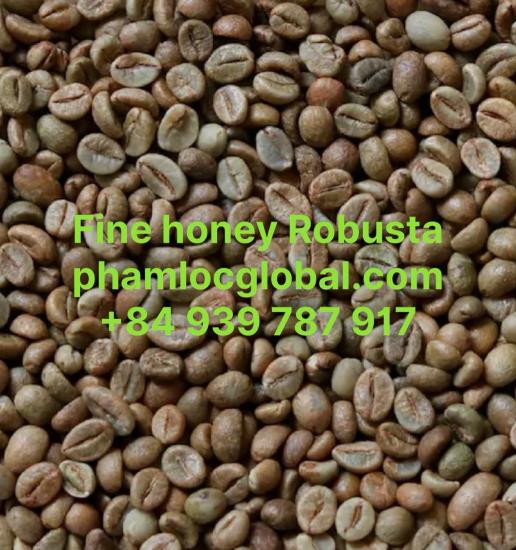FINE HONEY ROBUSTA COFFEE SCREEN 13, 16, 18