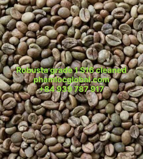 ROBUSTA COFFEE GRADE 1 SCREEN 16 CLEAN
