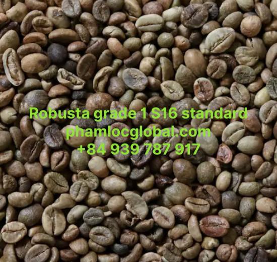 ROBUSTA COFFEE GRADE 1 SCREEN 16 STANDARD