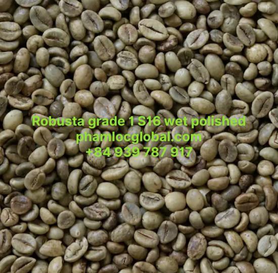 ROBUSTA COFFEE GRADE 1 SCREEN 16 WET POLISHED