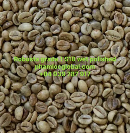 ROBUSTA COFFEE GRADE 1 SCREEN 18 WET POLISHED