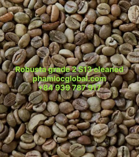 ROBUSTA COFFEE GRADE 2 SCREEN 13 CLEAN