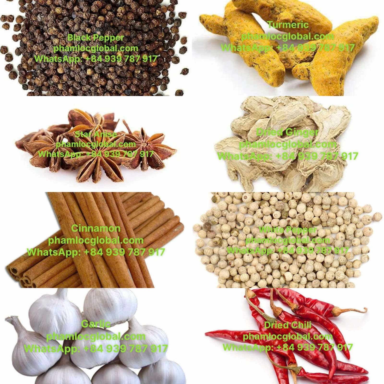 SPICES