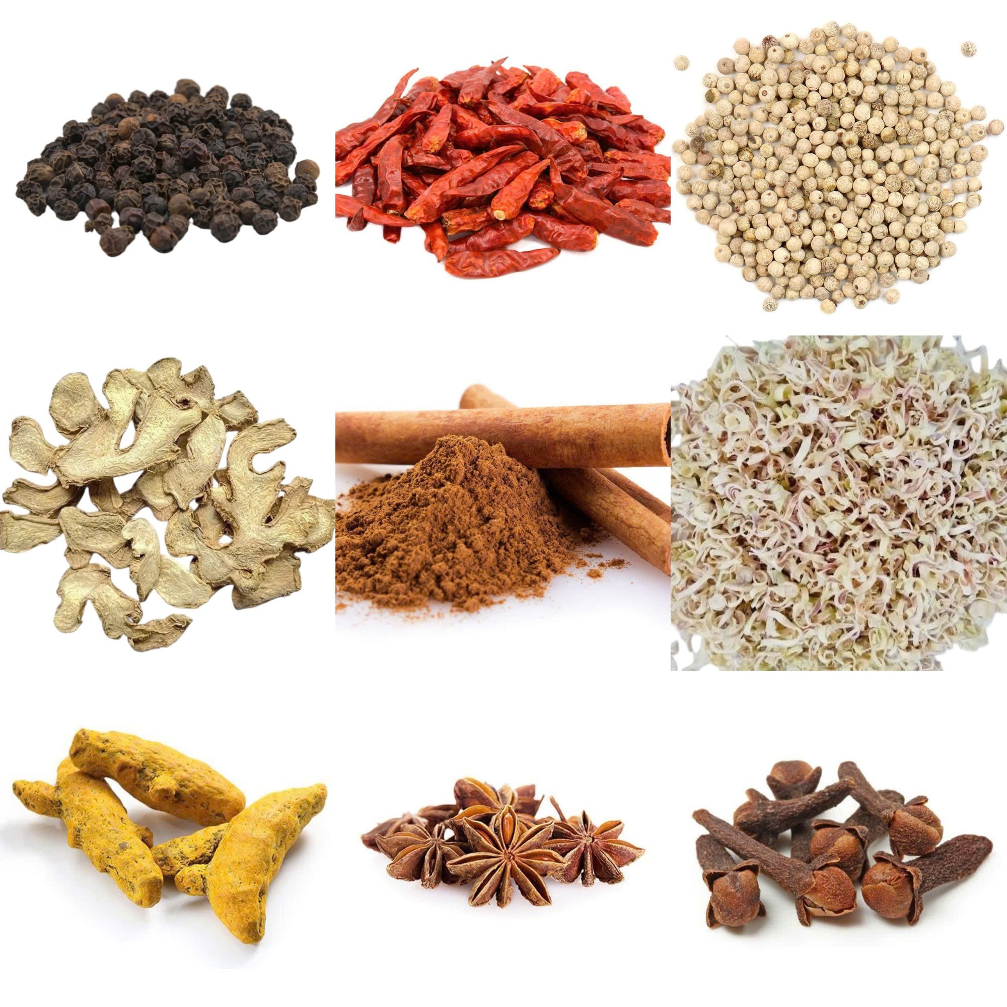SPICES